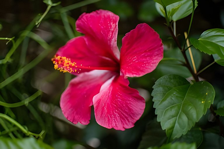 Suíte privativa ao lado do aquário de Ubatuba - Casa Mangari